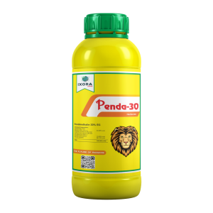Penda-30
