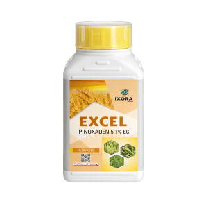 Excel