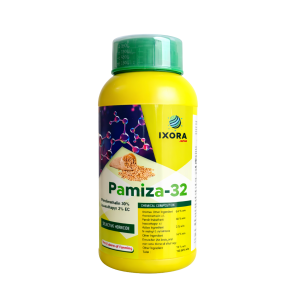 Pamiza-32
